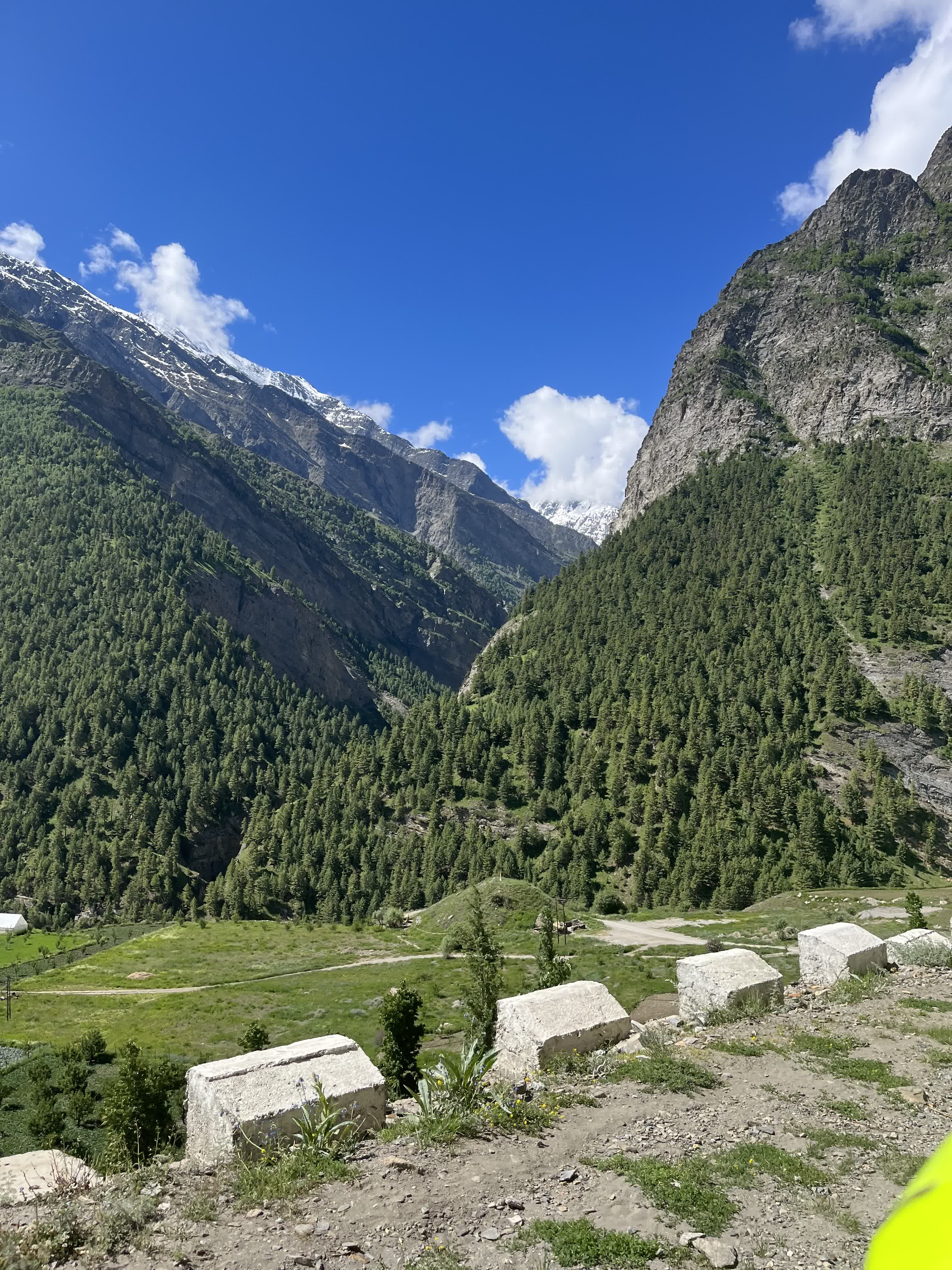 The green Parvati Valley with pine forest and snow-capped Himalayan peaks